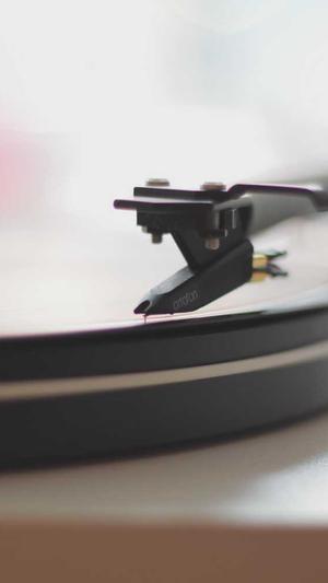 2022黑料正能量传送门截图3